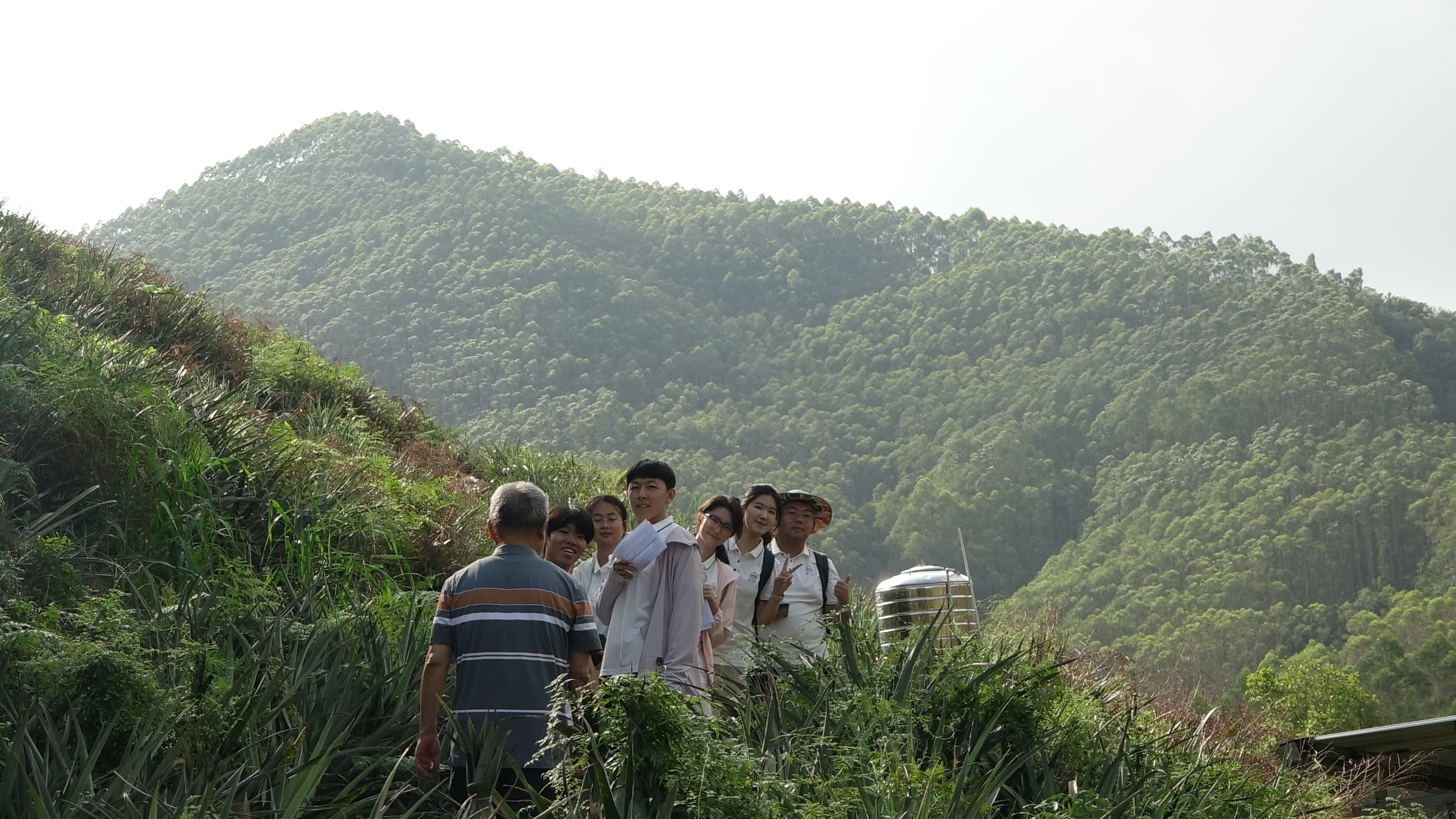齐地寻脉